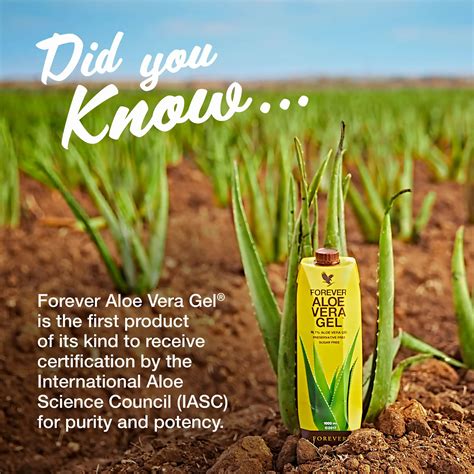 Forever Living Products.